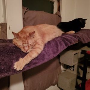 Meet your Posher, Christopher